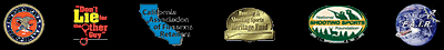 icon links